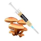 Image thumbnail: Culture Organic Golden Enoki Mushroom Liquid Culture Syringe