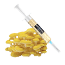 <span class="metafield-string">Golden Oyster</span>