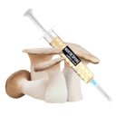 <span class="metafield-string">King Trumpet</span>