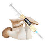 Image thumbnail: Culture Organic King Trumpet Mushroom Liquid Culture Syringe