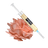 Organic Pink Oyster Mushroom Liquid Culture Syringe