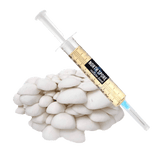Image thumbnail: Culture Organic Snow Oyster Mushroom Liquid Culture Syringe