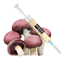 <span class="metafield-string">Wine Cap</span>