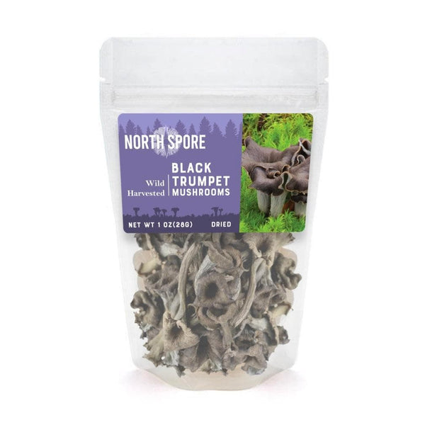 dried-mushrooms-dried-wild-