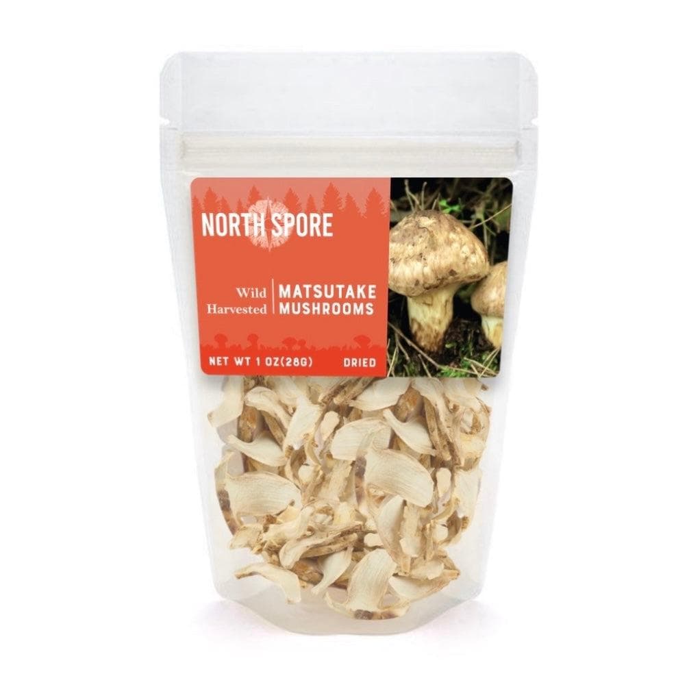Dried Wild Matsutake Mushrooms | Wildcrafted & Foraged in
