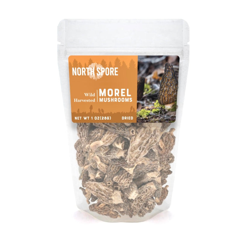 Dried Mushrooms Dried Wild Morel Mushrooms