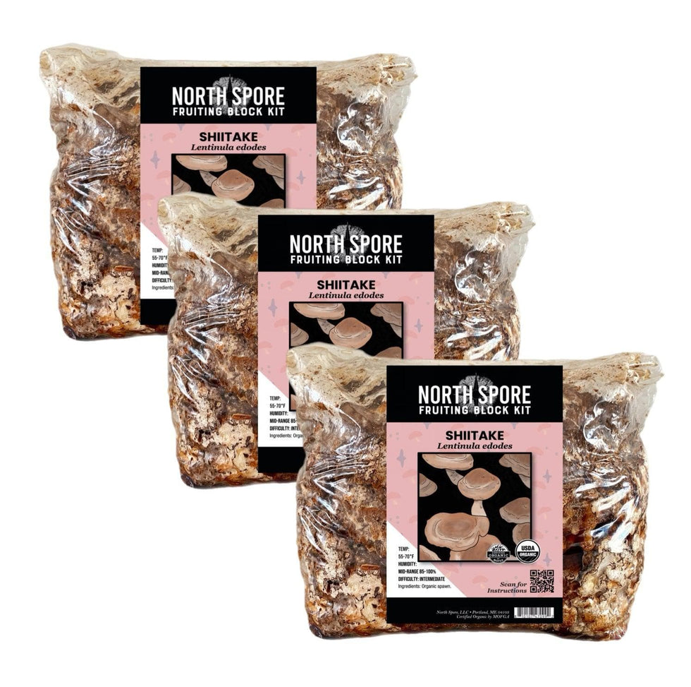 3 pc. Shiitake Fruiting Block Kit Bundle North Spore