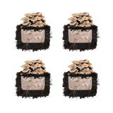 Image thumbnail: Fruiting Block Black King Oyster 'Plant & Grow' Mushroom Starter