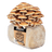 Organic Chestnut Mushroom Grow Kit Fruiting Block