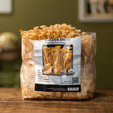 Image thumbnail: Fruiting Block Organic Golden Enoki Mushroom Grow Kit Fruiting Block