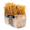 Golden Enoki