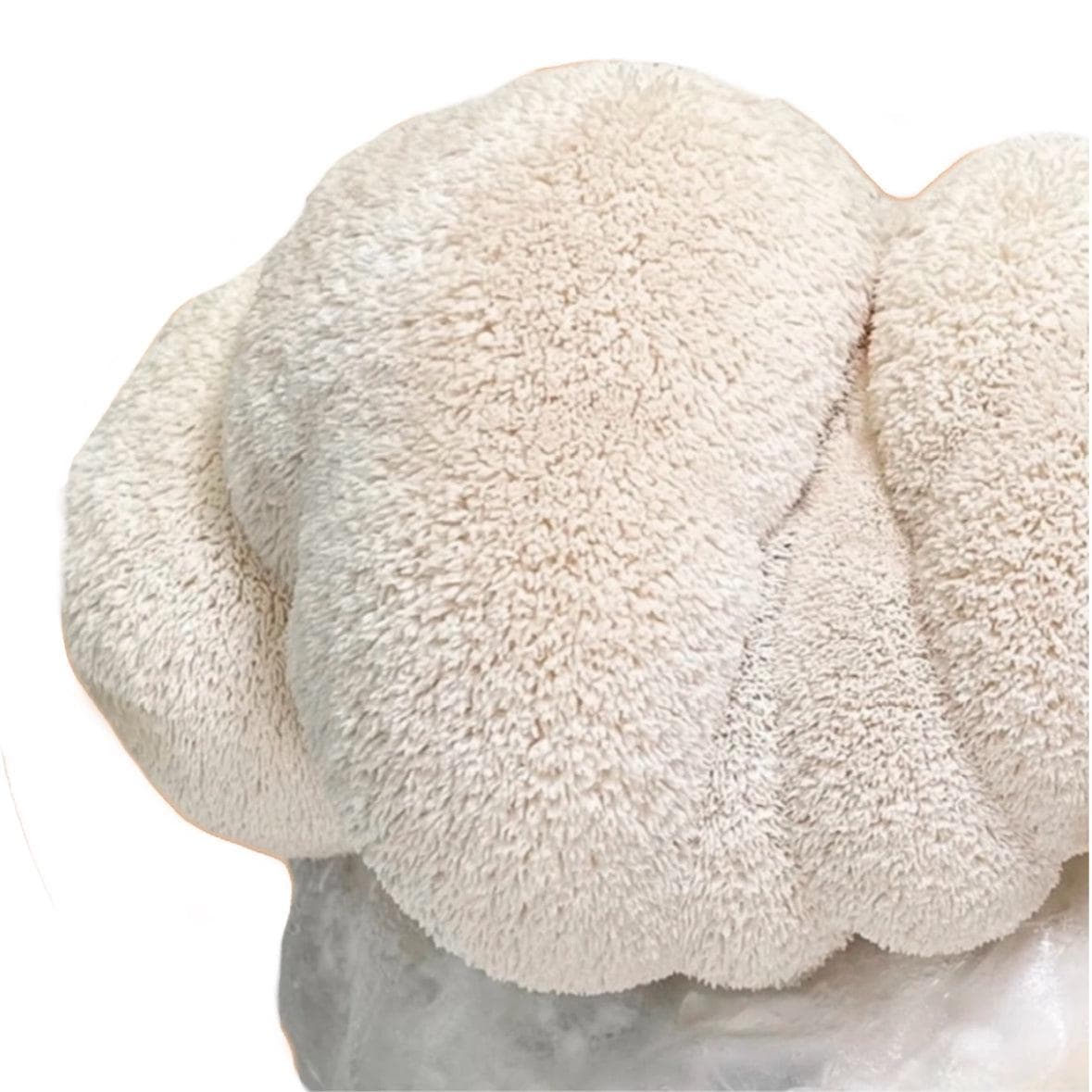 Fruiting Block Organic Lion's Mane Mushroom Grow Kit Fruiting Block