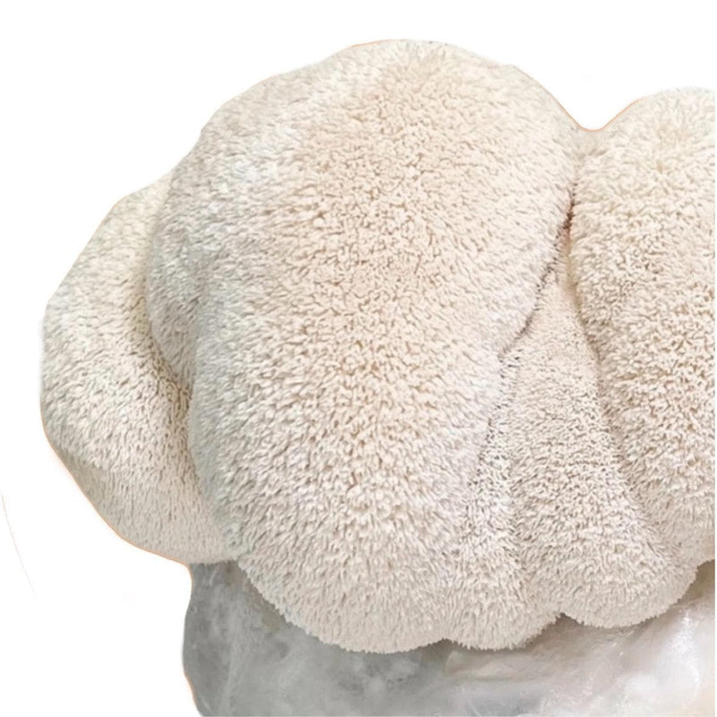 Fruiting Block Organic Lion's Mane Mushroom Grow Kit Fruiting Block