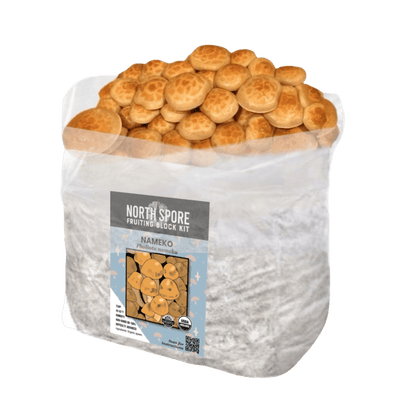 Nameko Fruiting Block