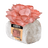 Organic Pink Oyster Mushroom Grow Kit Fruiting Block
