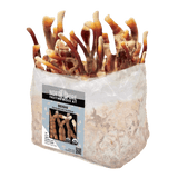 Image thumbnail: Fruiting Block Organic Reishi Mushroom Grow Kit Fruiting Block