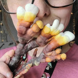 Image thumbnail: Fruiting Block Organic Reishi Mushroom Grow Kit Fruiting Block