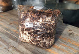 Image thumbnail: Fruiting Block Organic Shiitaké Mushroom Fruiting Block