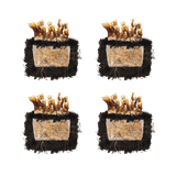 Image thumbnail: Fruiting Block Reishi 'Plant & Grow' Mushroom Starter Block