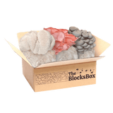 Image thumbnail: Fruiting Block 'The BlocksBox' Organic Mushroom Grow Kit Subscription