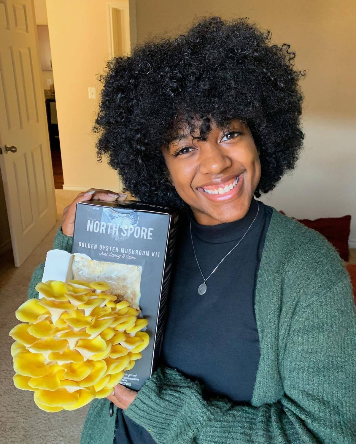 Gift a Year of Mushrooms