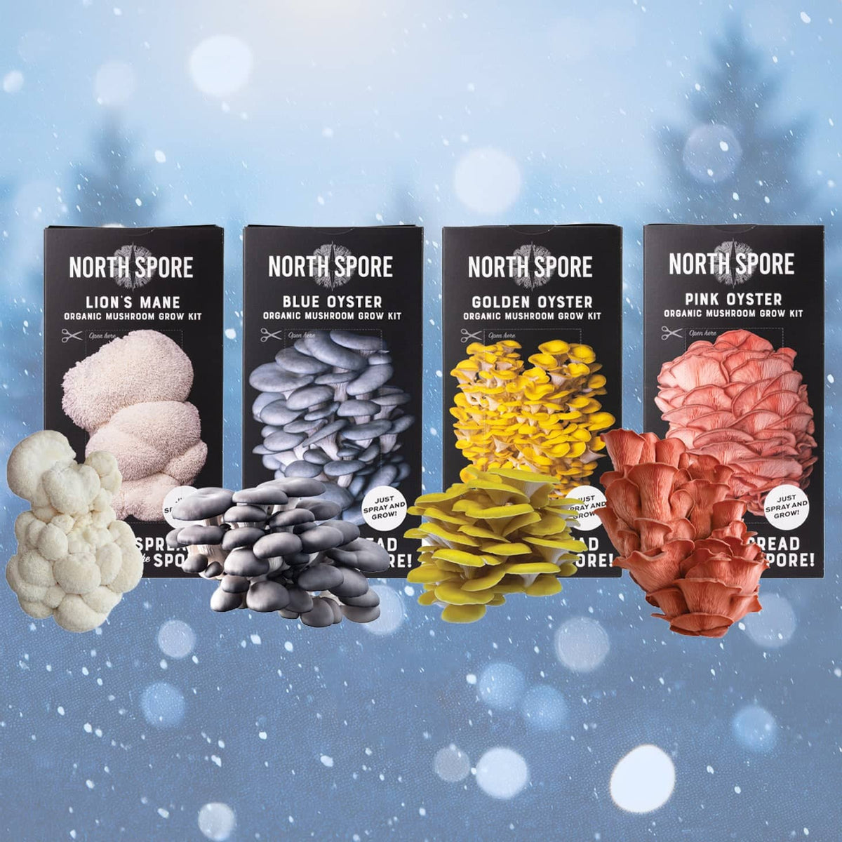 Gift a Year of Mushrooms