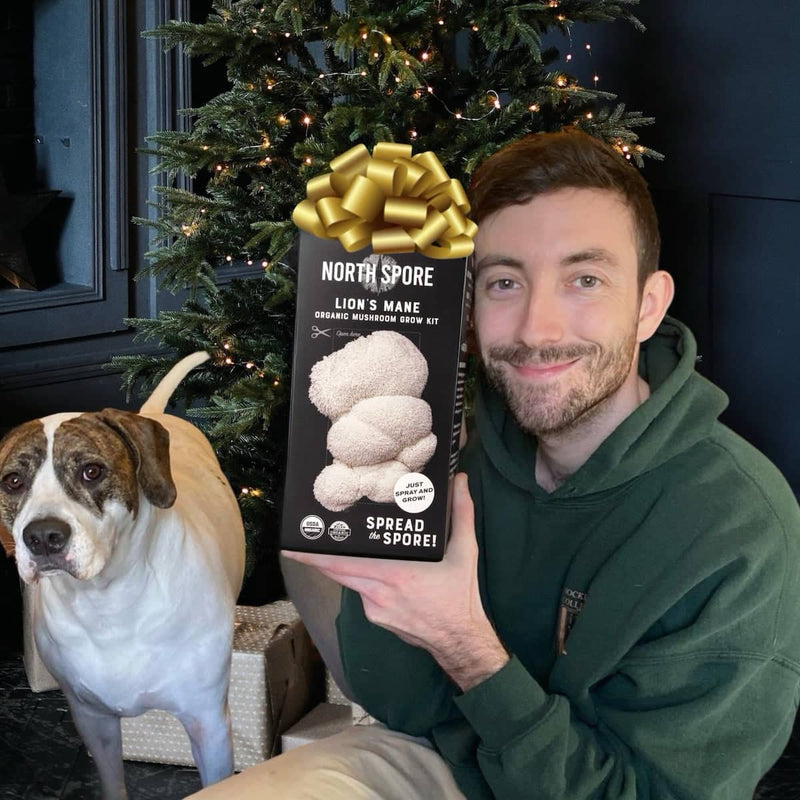 Gift a Year of Mushrooms