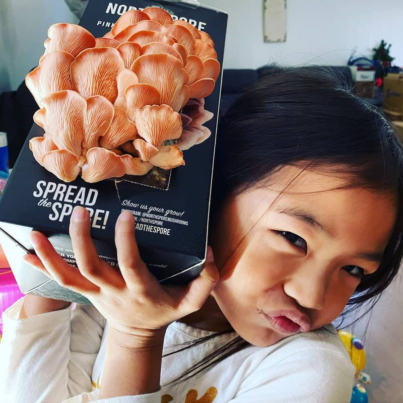 Gift a Year of Mushrooms