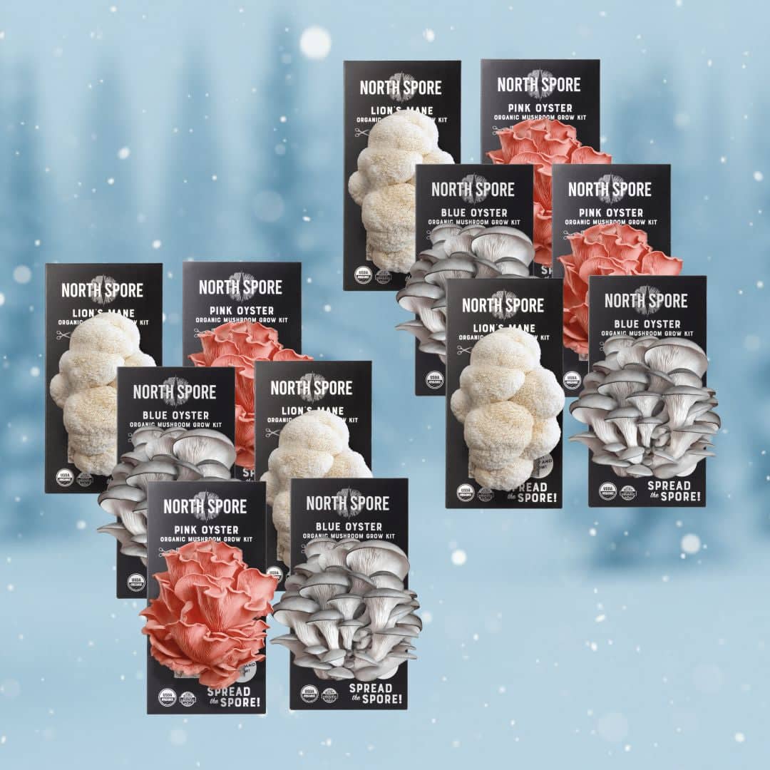 Gift a Year of Mushrooms