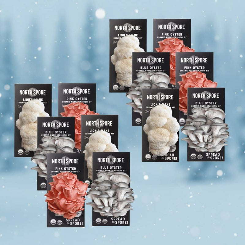 Gift a Year of Mushrooms