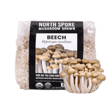 Image thumbnail: Grain Spawn Organic Beech Mushroom Grain Spawn