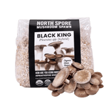 Image thumbnail: Grain Spawn Organic Black King Mushroom Grain Spawn