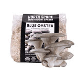 Image thumbnail: Grain Spawn Organic Blue Oyster Mushroom Grain Spawn