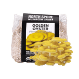 Image thumbnail: Grain Spawn Organic Golden Oyster Mushroom Grain Spawn