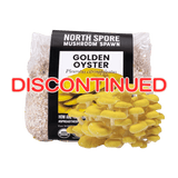 Image thumbnail: Grain Spawn Organic Golden Oyster Mushroom Grain Spawn