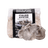 Organic Italian Oyster Mushroom Grain Spawn