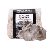 Image thumbnail: Grain Spawn Organic Italian Oyster Mushroom Grain Spawn