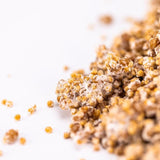 Image thumbnail: Grain Spawn Organic King Trumpet Mushroom Grain Spawn