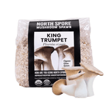 Image thumbnail: Grain Spawn Organic King Trumpet Mushroom Grain Spawn