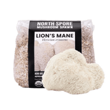 Image thumbnail: Grain Spawn Organic Lion's Mane Mushroom Grain Spawn