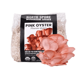 Image thumbnail: Grain Spawn Organic Pink Oyster Mushroom Grain Spawn