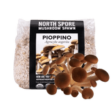 Image thumbnail: Grain Spawn Organic Pioppino Mushroom Grain Spawn