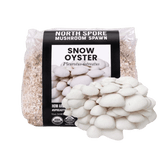 Image thumbnail: Grain Spawn Organic Snow Oyster Mushroom Grain Spawn