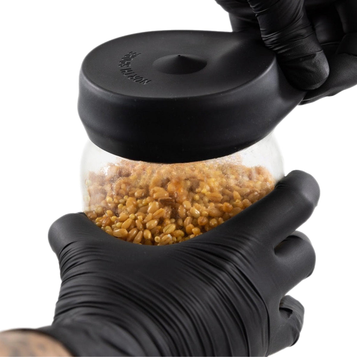 Grow Bags & Filters 'Regular Mouth' Silicone Lid Cover for Mushroom Culture Jars