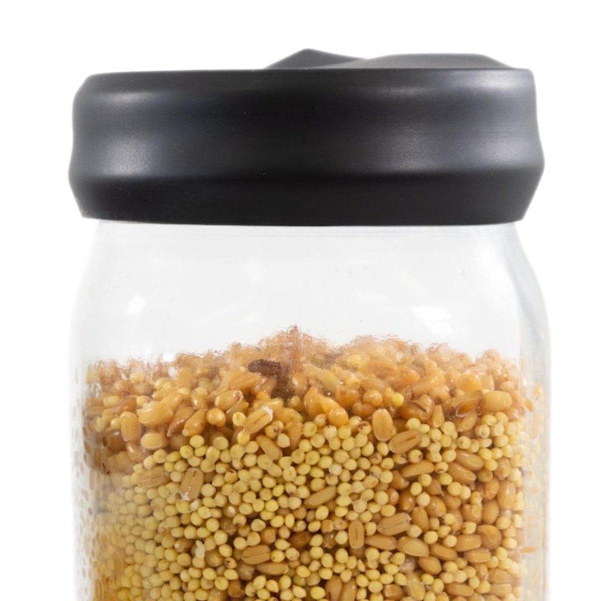 Grow Bags & Filters 'Regular Mouth' Silicone Lid Cover for Mushroom Culture Jars