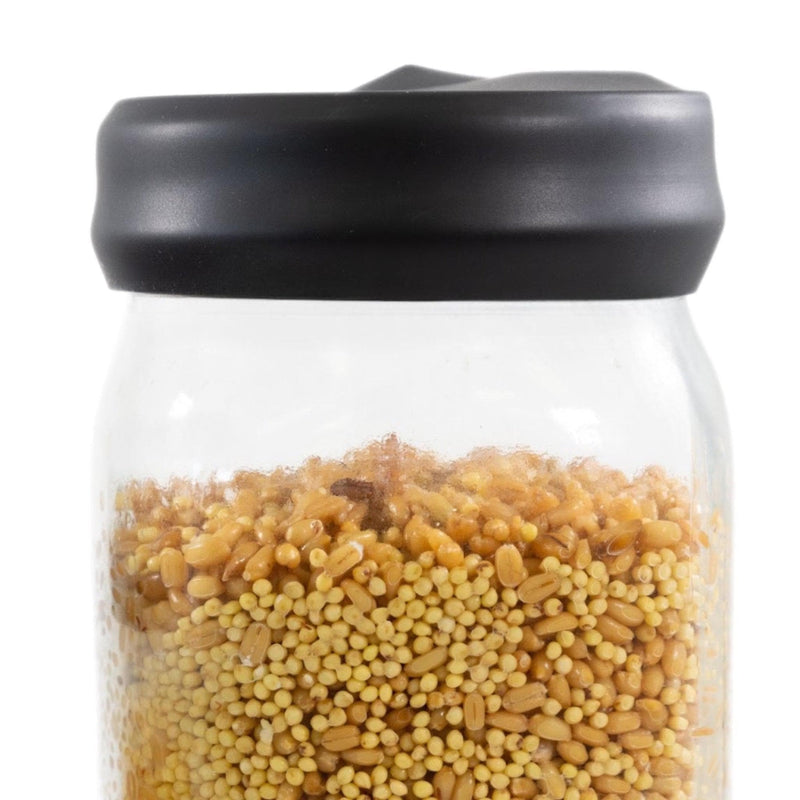 Grow Bags & Filters 'Regular Mouth' Silicone Lid Cover for Mushroom Culture Jars