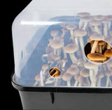 Image thumbnail: Grow Chambers Automated 'Boomr Bin' + Wood-Loving Substrates Monotub Kit