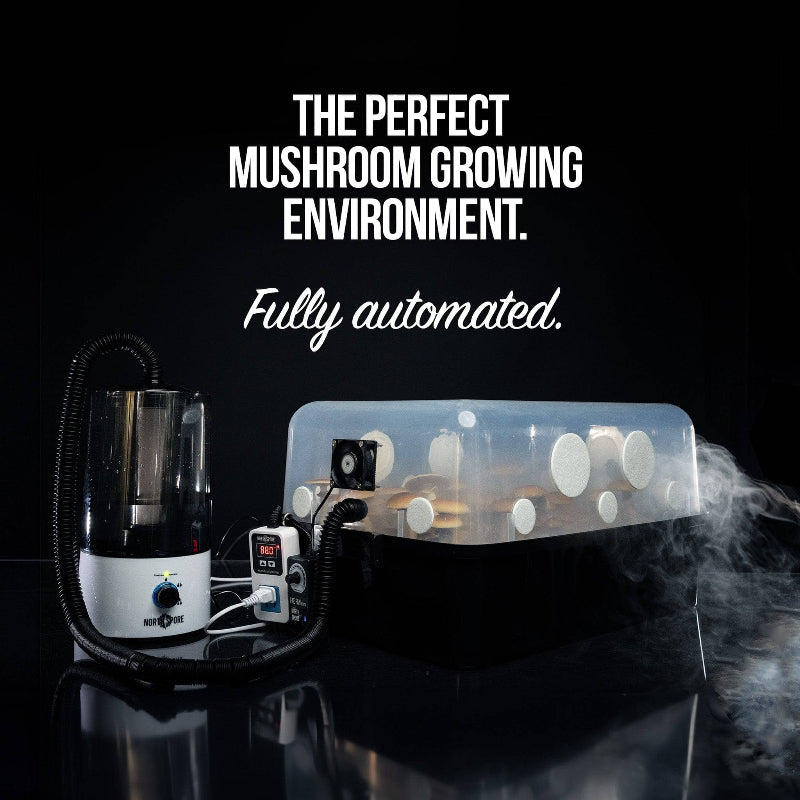 grow tent automation Automated 'Boomr Bin' + Cvg Monotub Mushroom Grow Kit