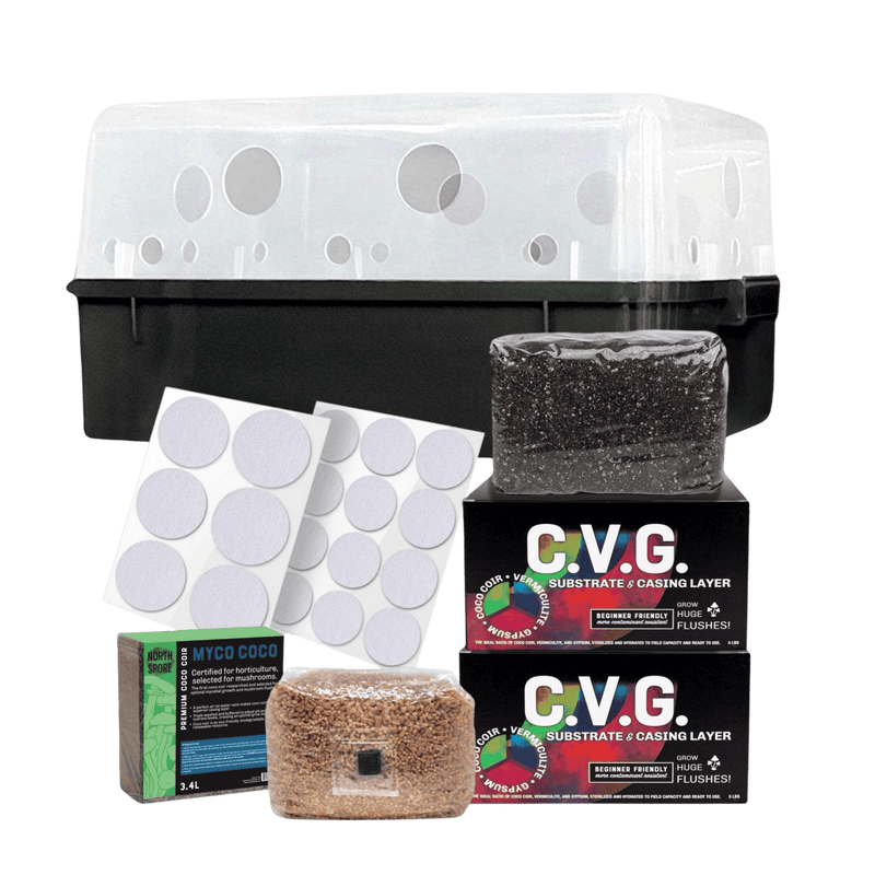Grow Chambers 'Boomr Bin' + CVG Monotub Mushroom Grow Kit