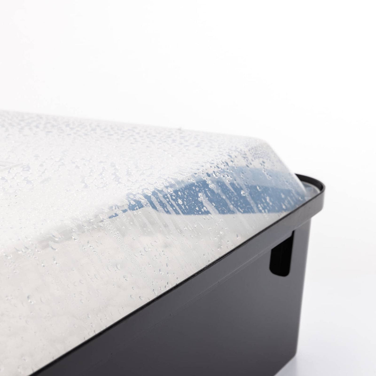 Grow Chambers Boomr Bin Mushroom Monotub Colonizer Lid